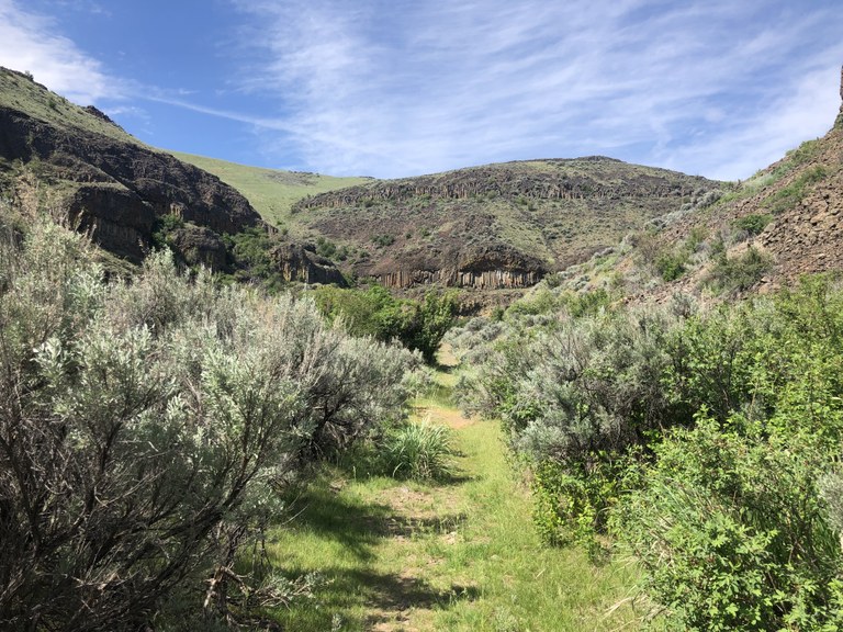 Green shrubbery with rocky hillsides