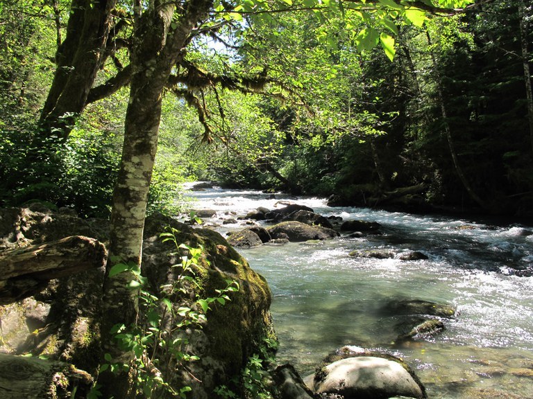 Boulder River is a glacial blue with many rocks and surrounded by dense forest.
