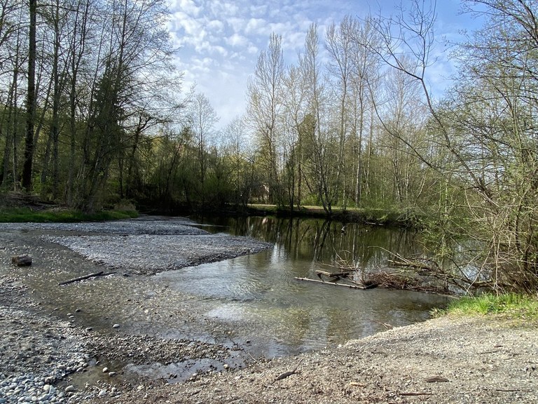 View of a pond at Swan Creek park, trees with bare branches all around