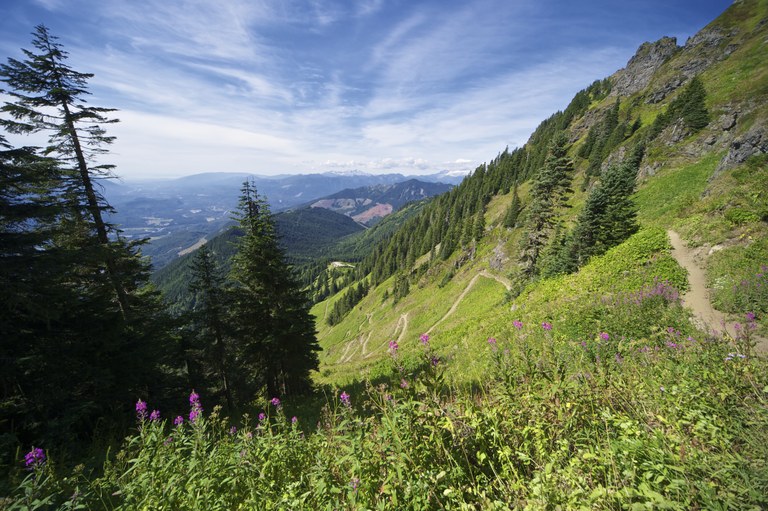 Grassy mountainside with switchbacks on Sauk Mountain