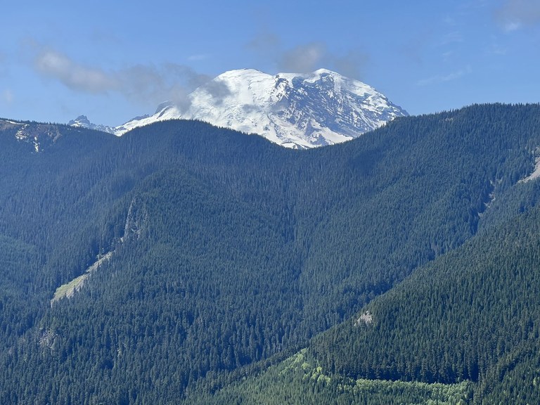 View of Mount Rainier along Palisades Trail with forested mountains in the foreground