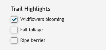 Wildflowers blooming filter 