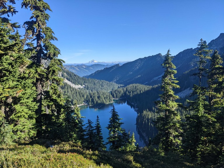 A large lake surrounded by pine trees with a snowcapped mountain in the distance.
