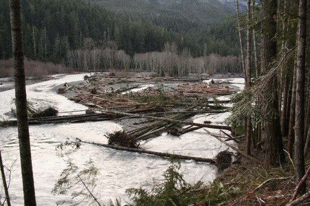 Flooding in the Elwha River Valley. Photo courtesy Olympic National Park.