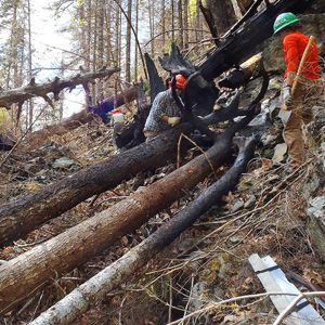 WTA volunteers clear downed trees after the Big Hump burn on the Duckabush River trail. Photo by Meagan MacKenzie.