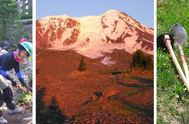 Work in the shadow of Mount Adams for a week at Riley Camp. Photo credits: Volunteer digging - Kindra Ramos. Alpenglow on Adams - susanellielay. Tools in flowers - Kindra Ramos. 