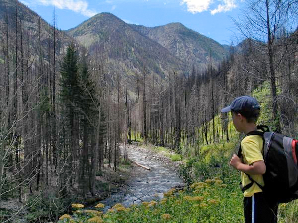 Hiking along the West Fork Methow River. Photo by Bill Davis. 