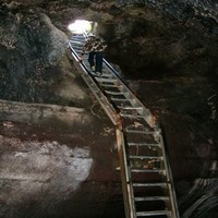 Photo Credit: Janice Van Cleave