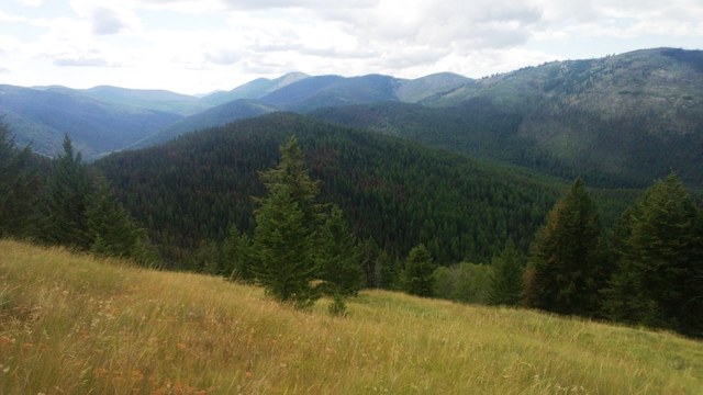 A shot from Washington's Kettle Range along the PNT. Photo by Erik Antonelli/thruhikingforkids.org