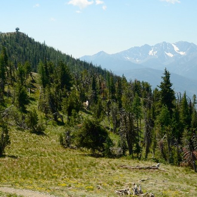 On the trail to Goat Peak Lookout near Flagg Mountain. Photo by Sean P.