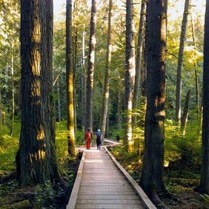 The Grand Ridge Park boardwalk on a HaT 2012 hike. Photo by Loren Drummond