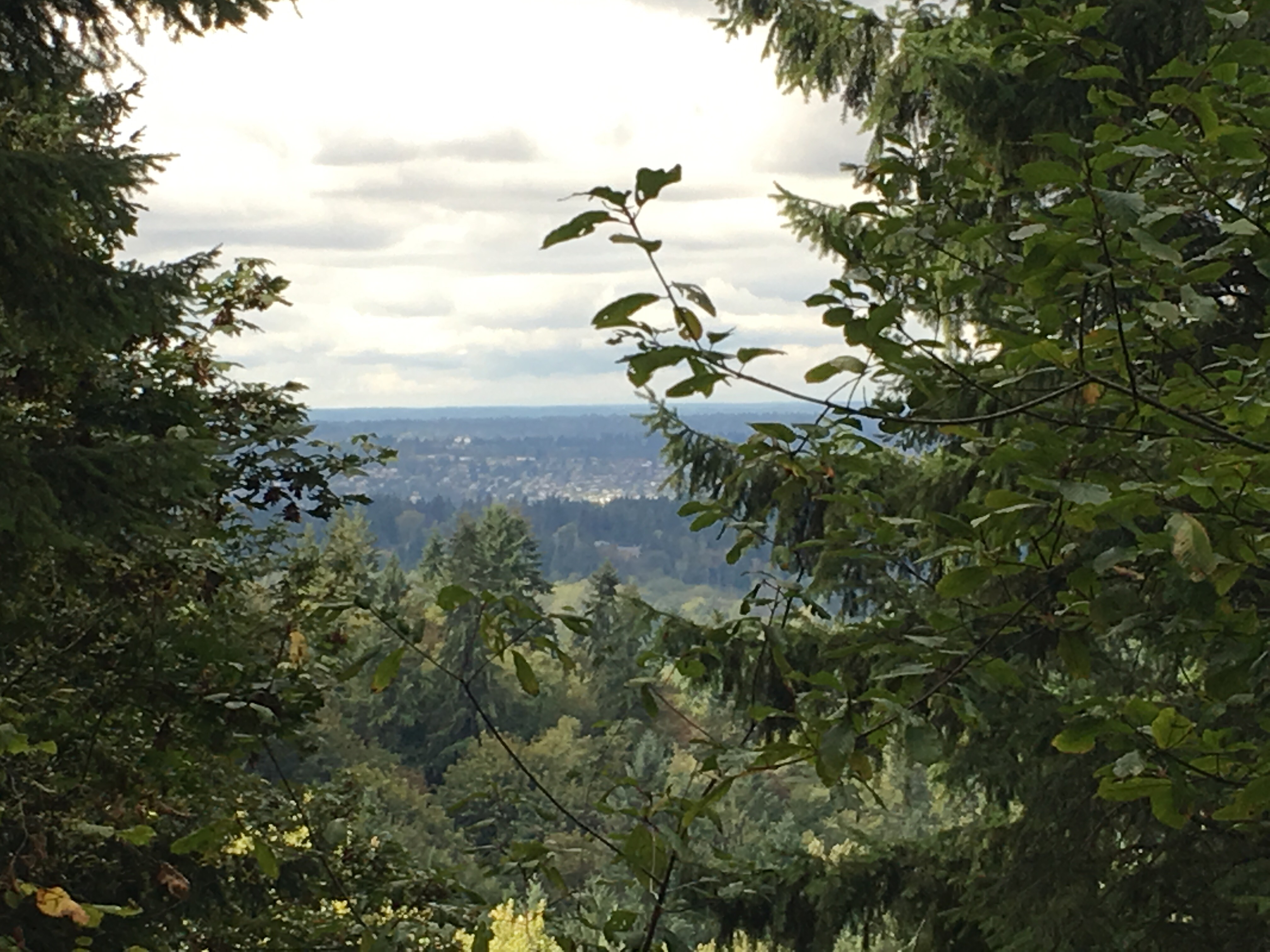 Licorice Fern Trail — Washington Trails Association