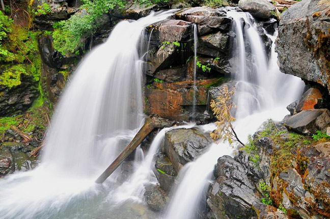 Cedar Falls Hiking Trail Cedar Falls — Washington Trails Association