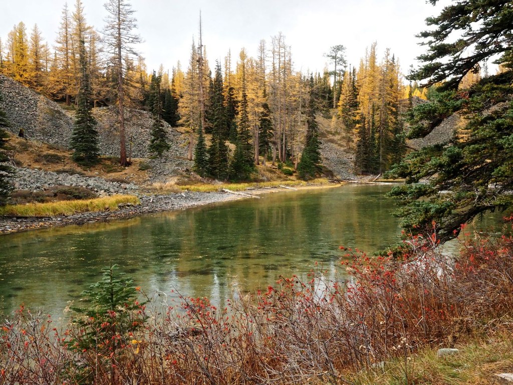 Clara and Marion Lakes — Washington Trails Association