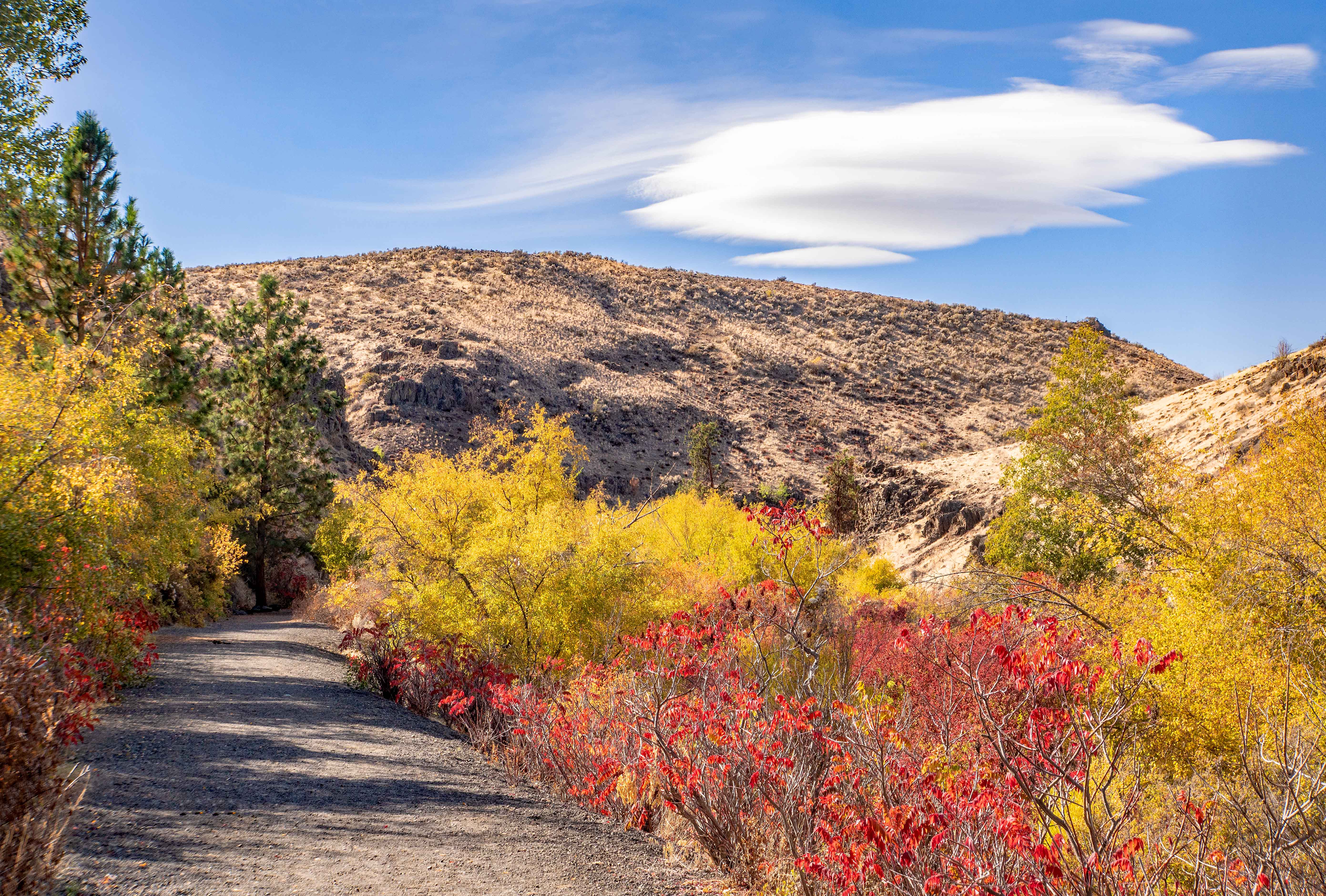 Cowiche Canyon Trail Map Cowiche Canyon Preserve — Washington Trails Association