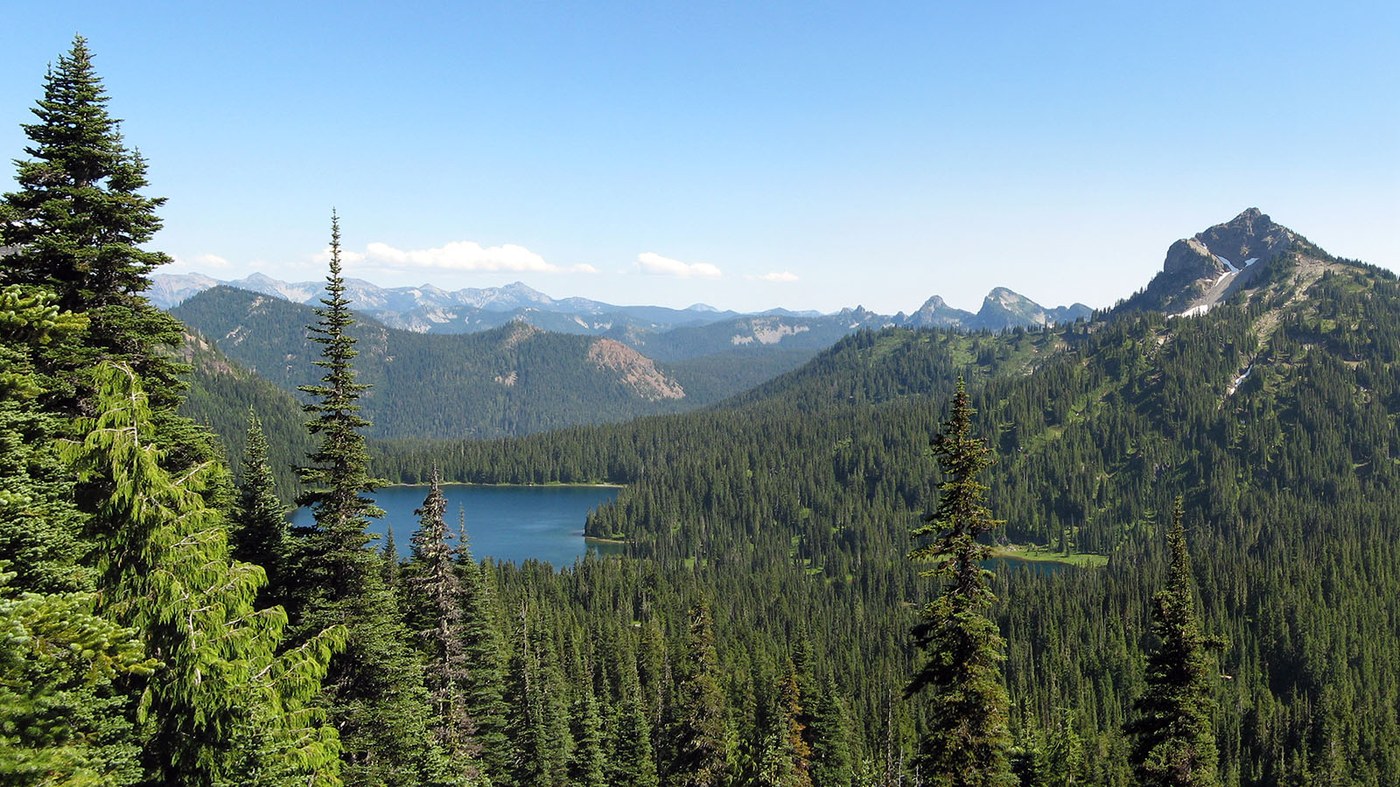 Williams Trail