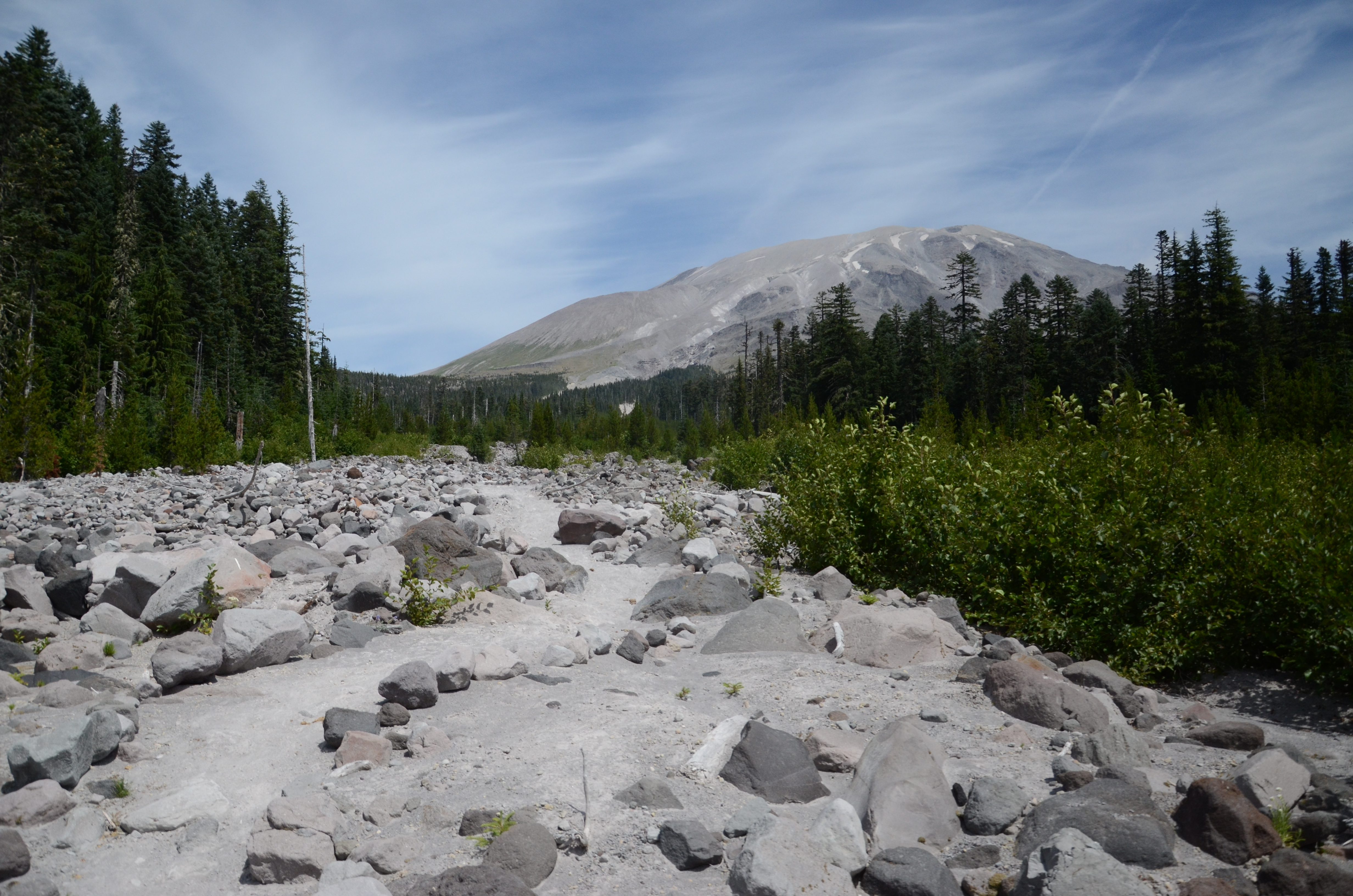Blue Horse Trail — Washington Trails Association