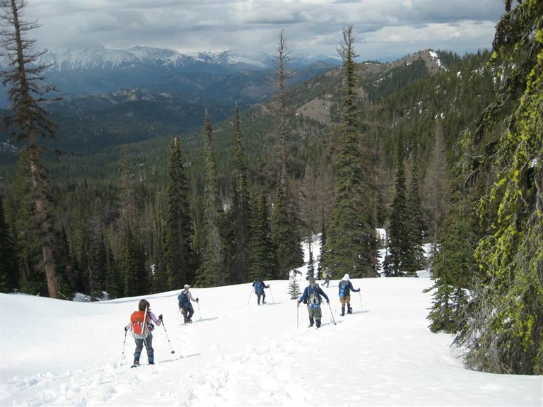 Haney Meadow Loop Snowshoe — Washington Trails Association