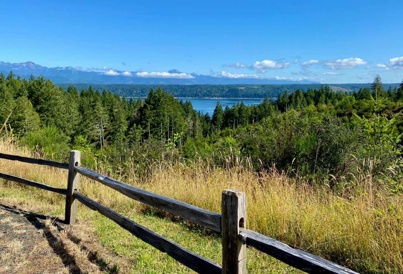 Alderbrook Nature Trails — Washington Trails Association