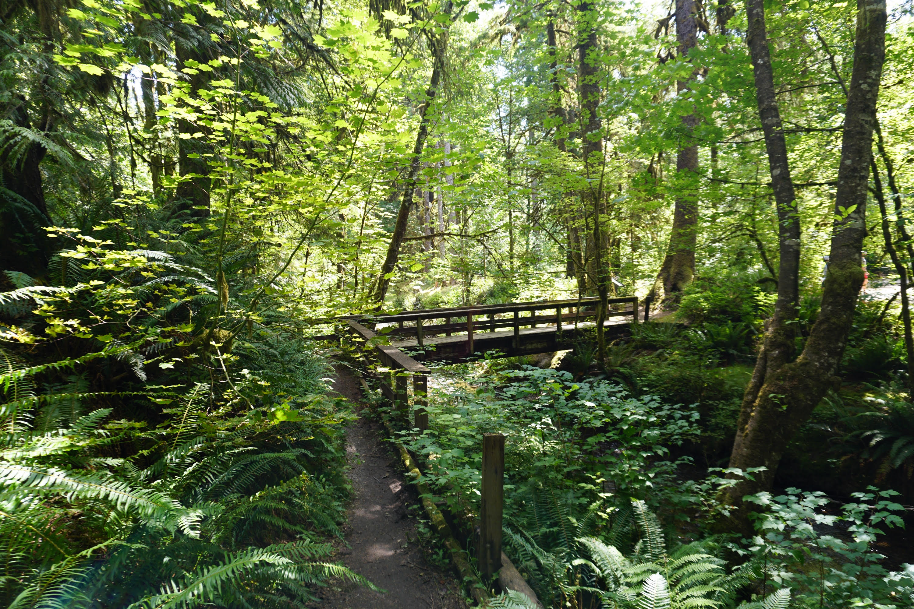 Verlot Nature Trail — Washington Trails Association