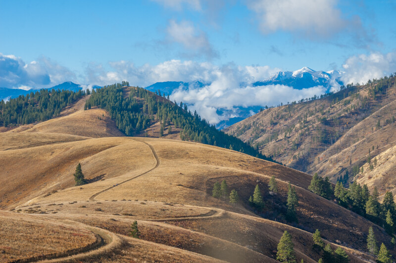 Cashmere Canyons Preserve — Washington Trails Association