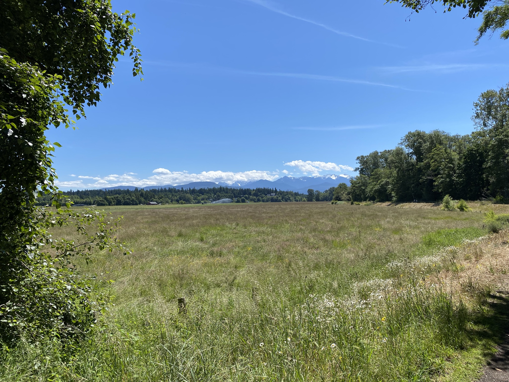 Dungeness River Dike Trail — Washington Trails Association
