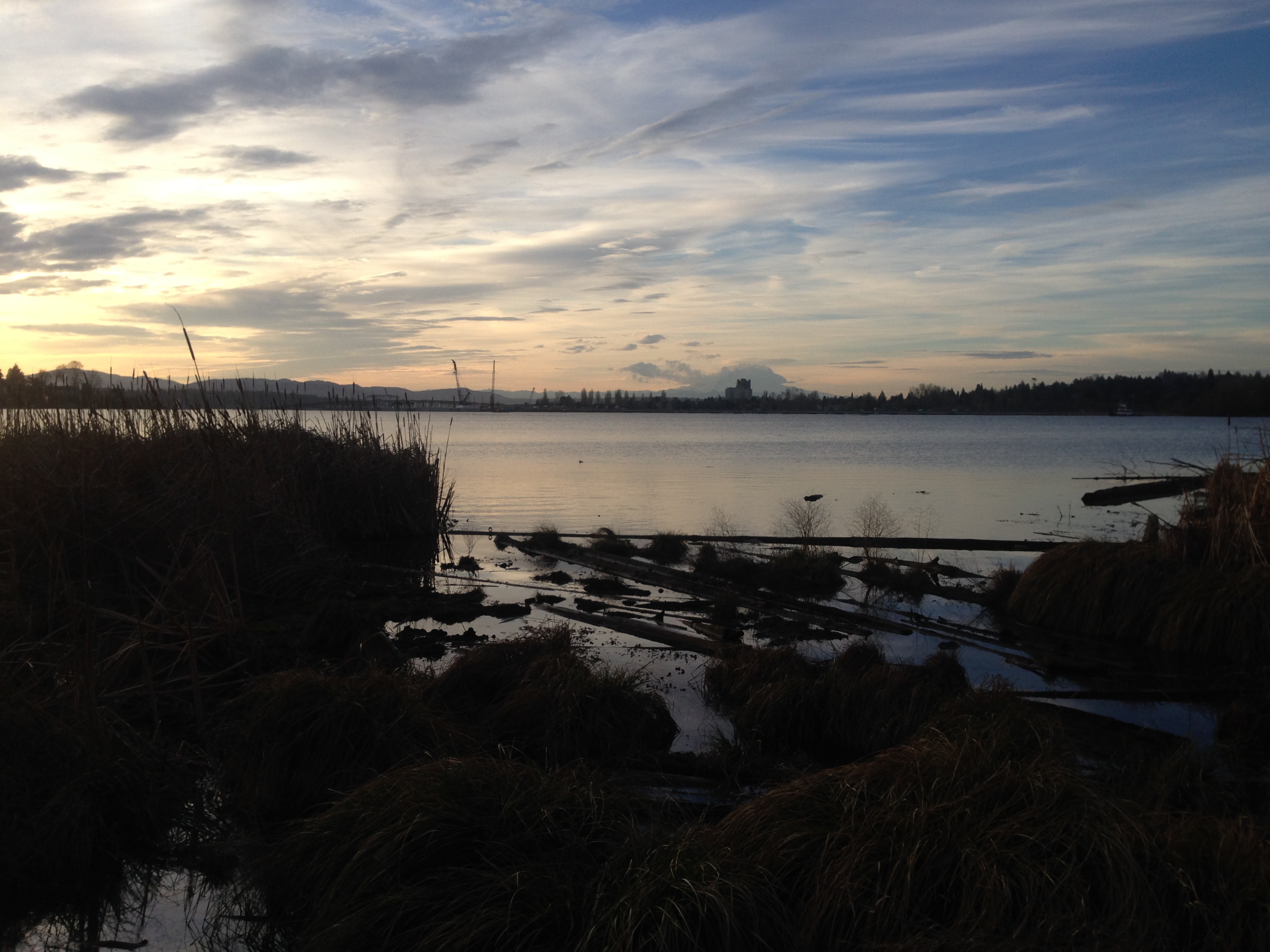 Union Bay Natural Area — Washington Trails Association