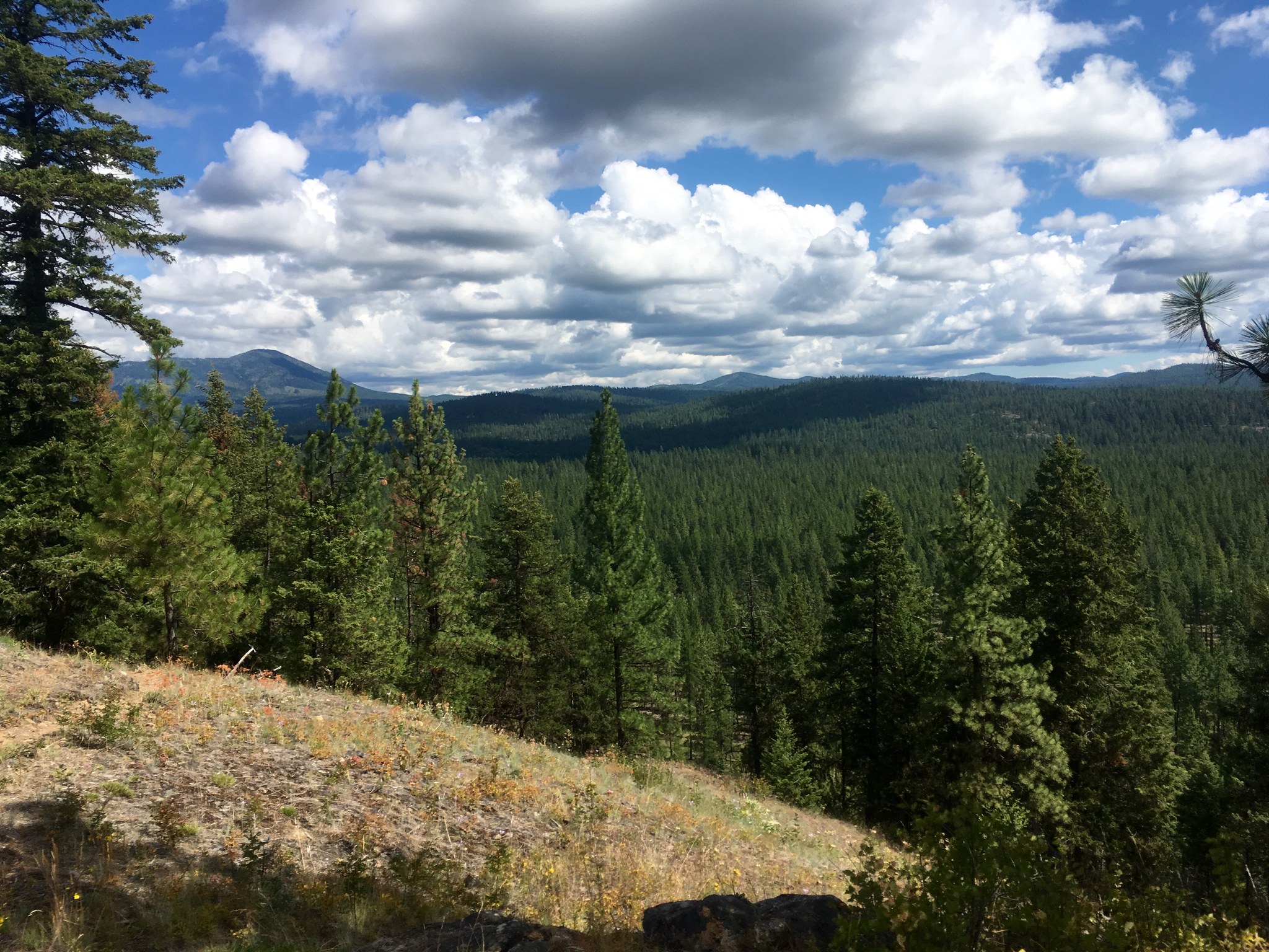 Little Pend Oreille National Wildlife Refuge Mill Butte Washington Trails Association
