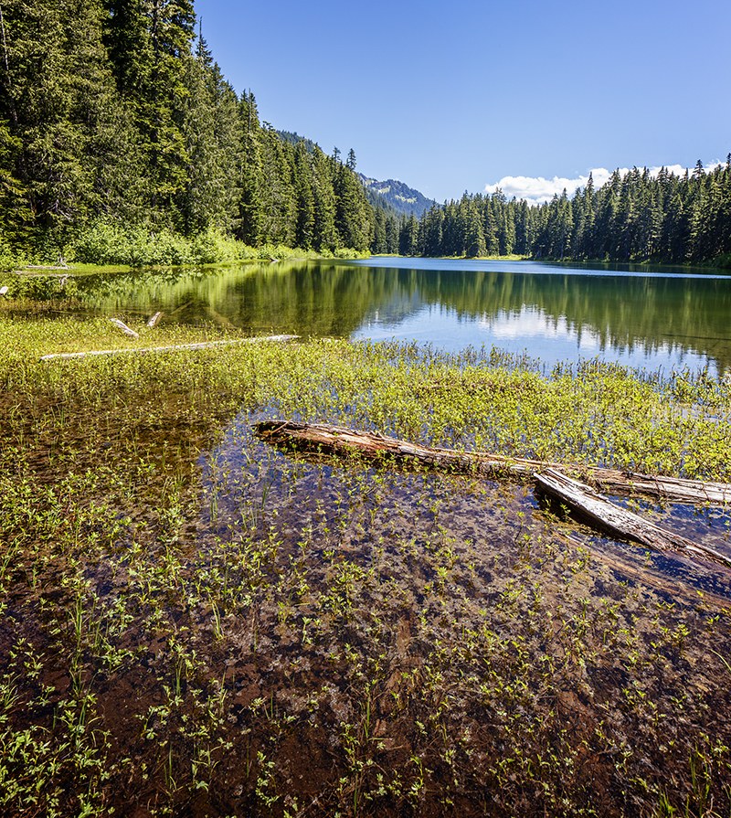 Puyallup — Washington Trails Association