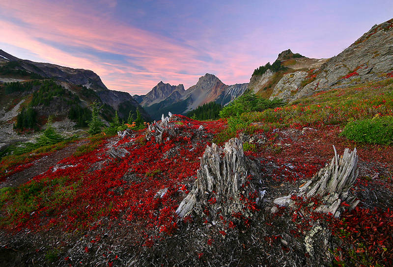 Yellow Aster Butte — Washington Trails Association