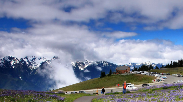 Hurricane Ridge on the Olympic Peninsula attracts visitors from all over the state, country and world. Photo by Larry Herscovitch