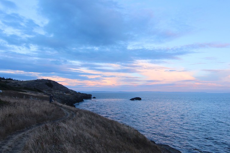 A blue-pink sunset on the coast of an island in the San Juans.