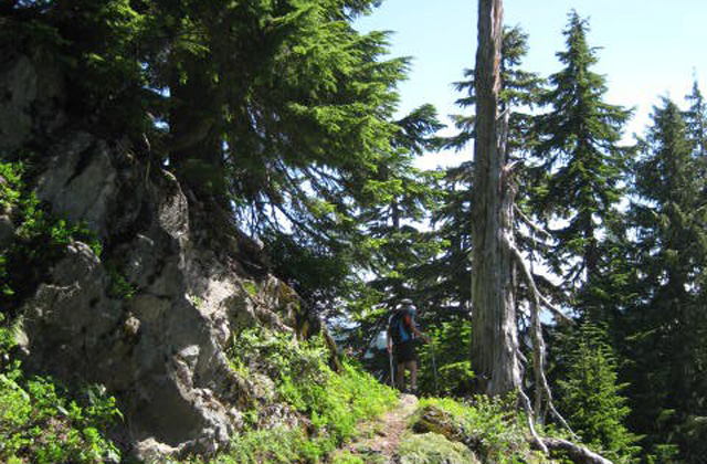 A hiker eyes what's around the corner on a sunny Independence Lake Trail. Photo by Janice Van Cleve. 