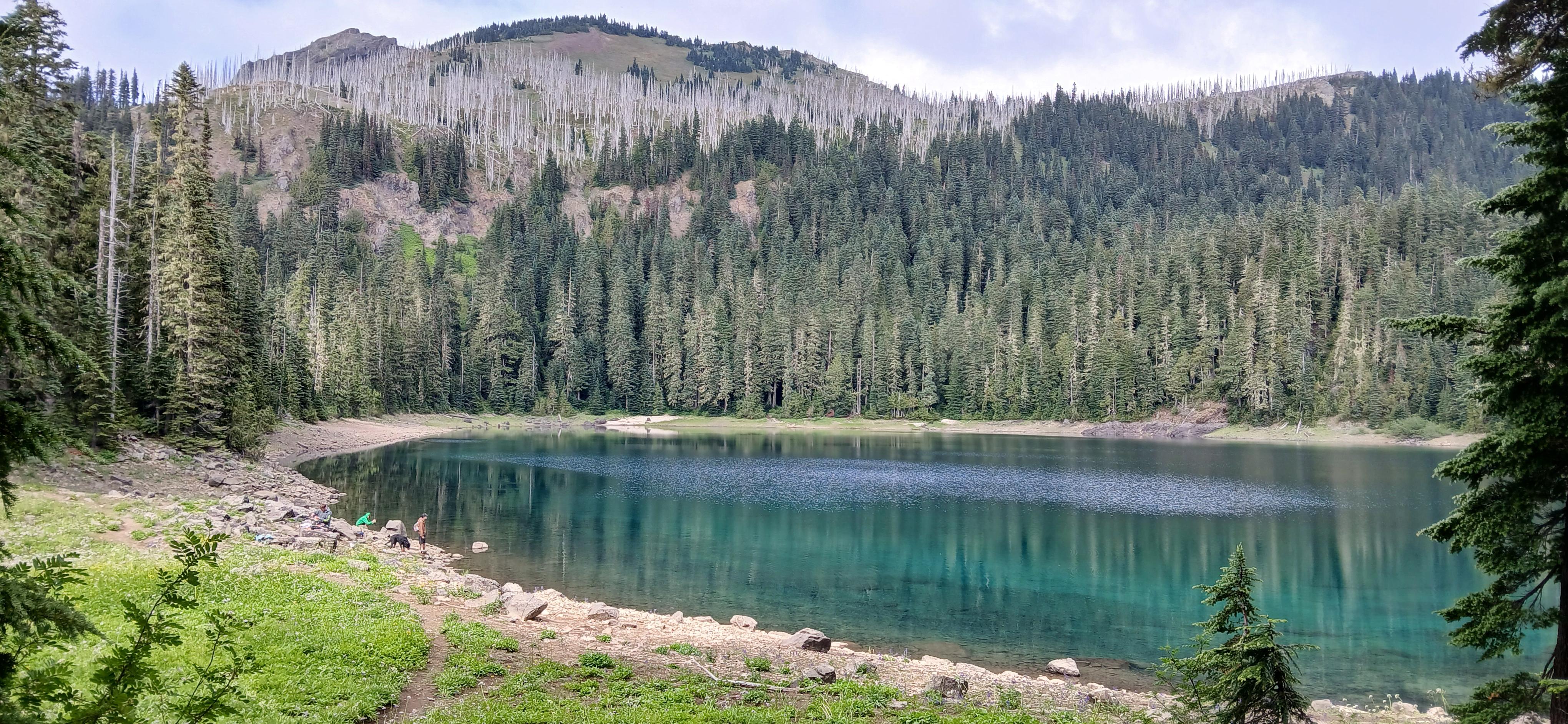 Lost Lake_Gary Zink A large, sapphire-blue lake sits in a yellow-gree meadow with silvery trees on its shores.