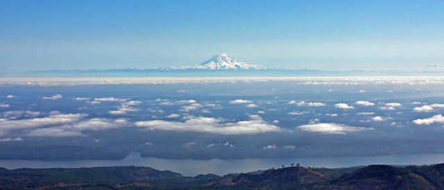 The views from a hike up Mount Ellinor. Photo and trip report by staziemom. 