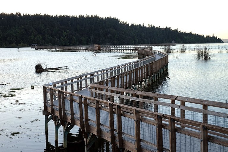 A boardwalk disappears onto the horizon with the tide receding