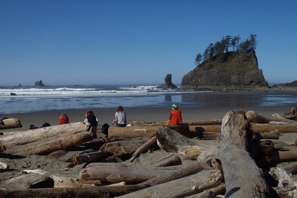 Volunteers take a break to enjoy the incredible views and sunshine at Second Beach. Photo by Megan Mackenzie. 