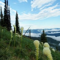 The views from Shedroof Divide. Photo by Sir-Hikes-a-Lot.