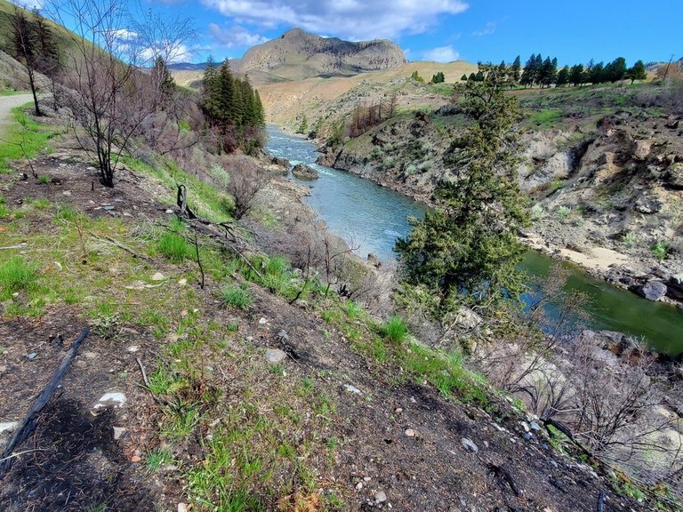 similkameen trail_tonyamsmith.jpeg