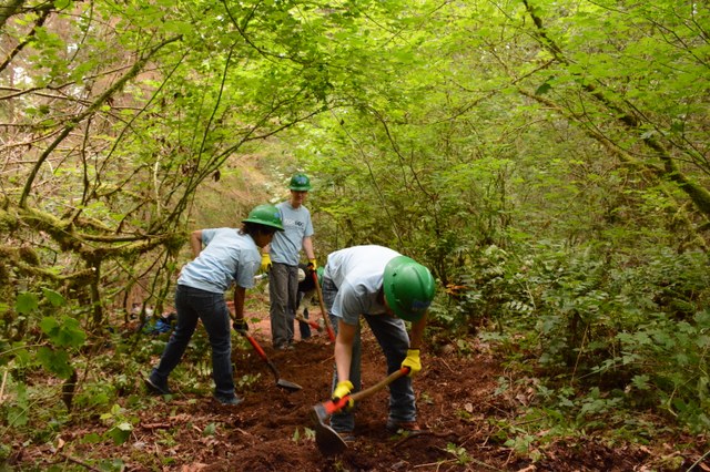 Volunteers at Beaver Lake Preserve building new trail. Photo by Steven Moore.