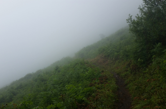 The view for most of the hike up on Friday. Photo by Loren Drummond. 