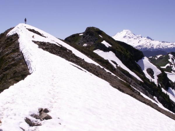 Yellow Aster Butte