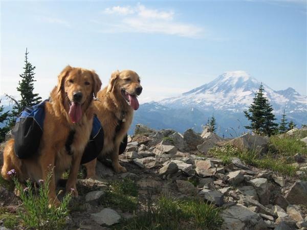 Near Lost Lake Lookout