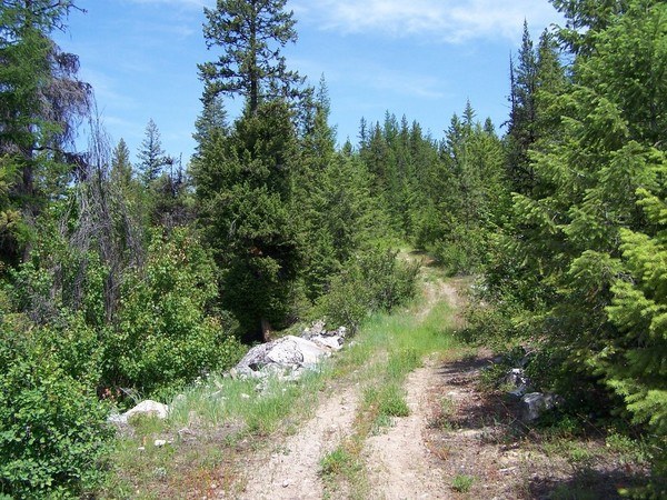 Typical stretch along lower part of Barnaby Buttes Trail #7.