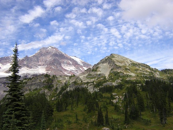 Pyramid and Success: check out the amazing symmetry in their two profiles, down to where little bumps on the ridges are!