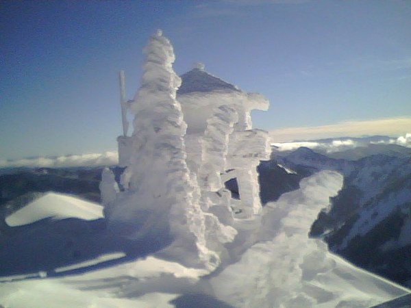 Granite lookout and trees well iced