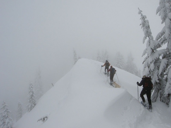 Frog Mountain — Washington Trails Association