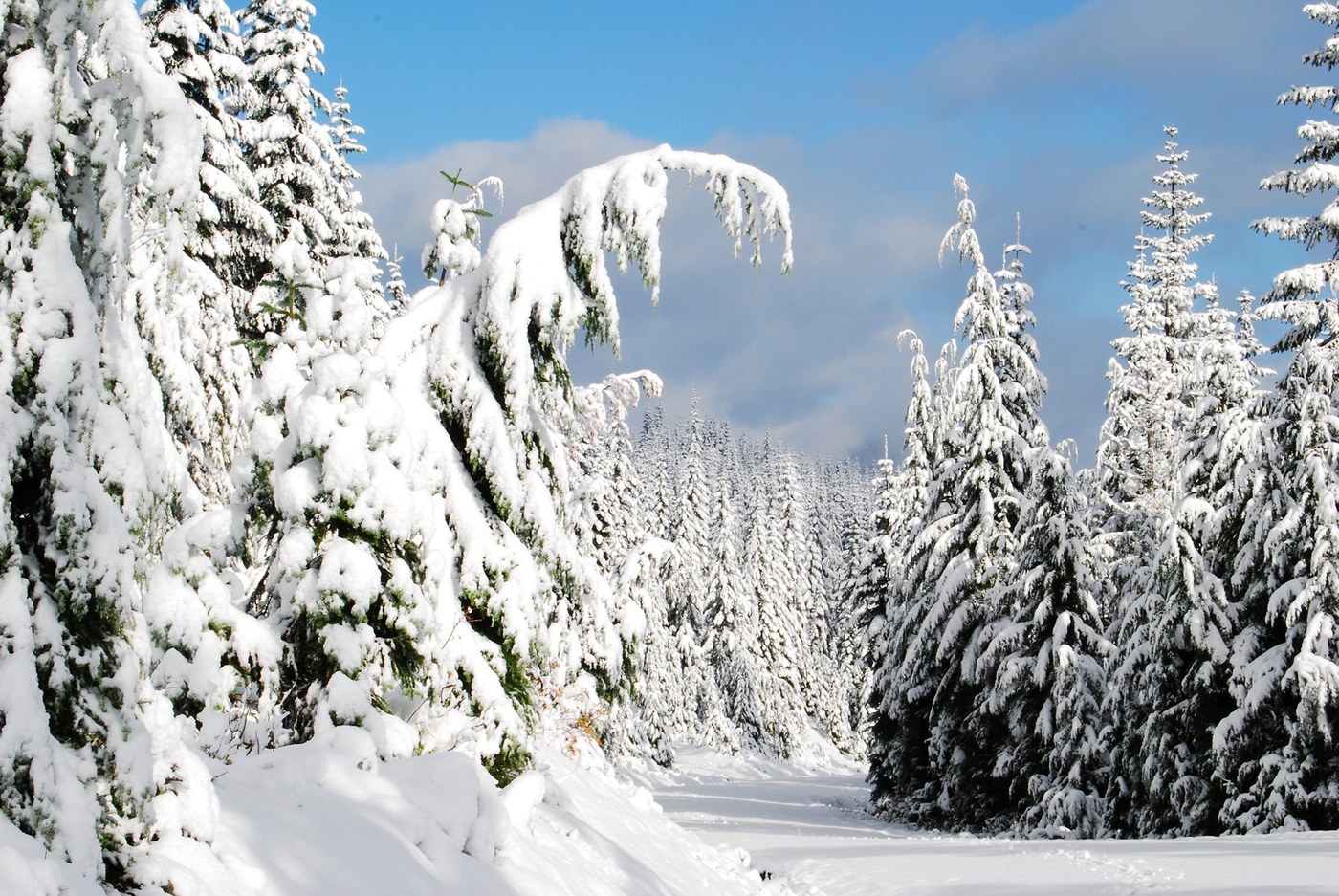 Early snow