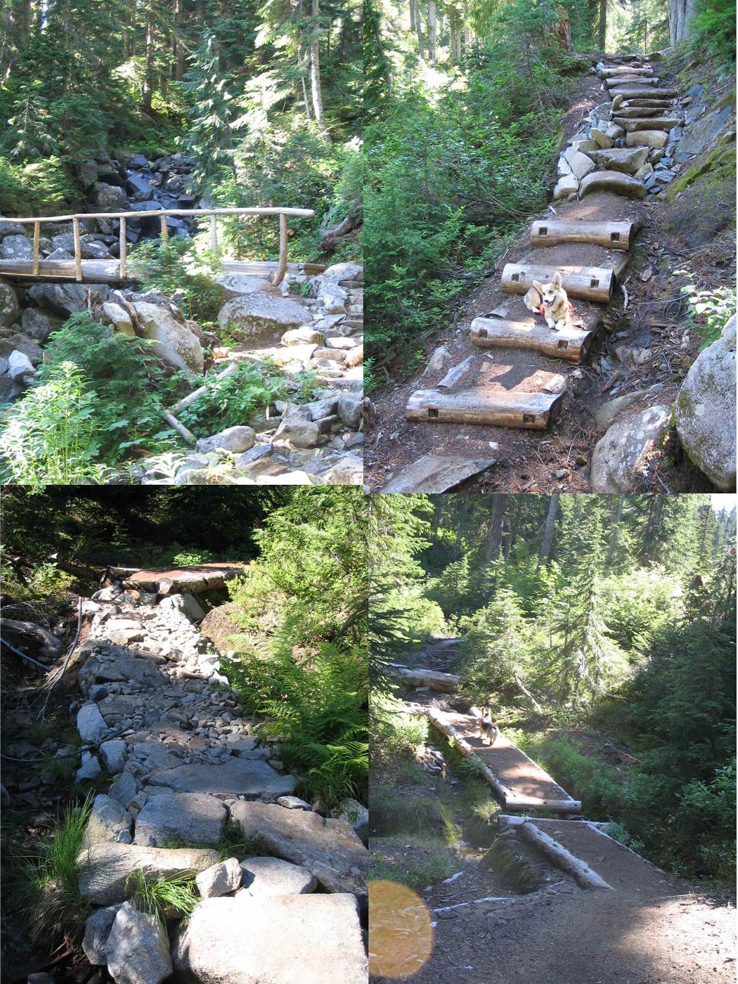 Much fairly recent major trail work, W. Fork Foss #1064, Copper Lake area. Cascade Liberation Organization.