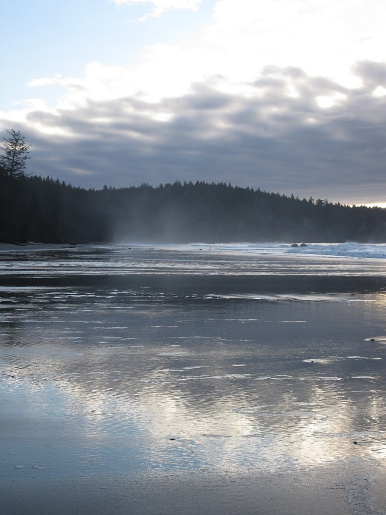 Misty Morning North of Toleak Point